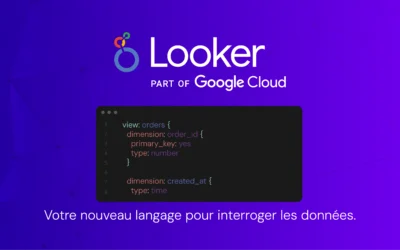Looker: Data mining and analysis with Business Intelligence