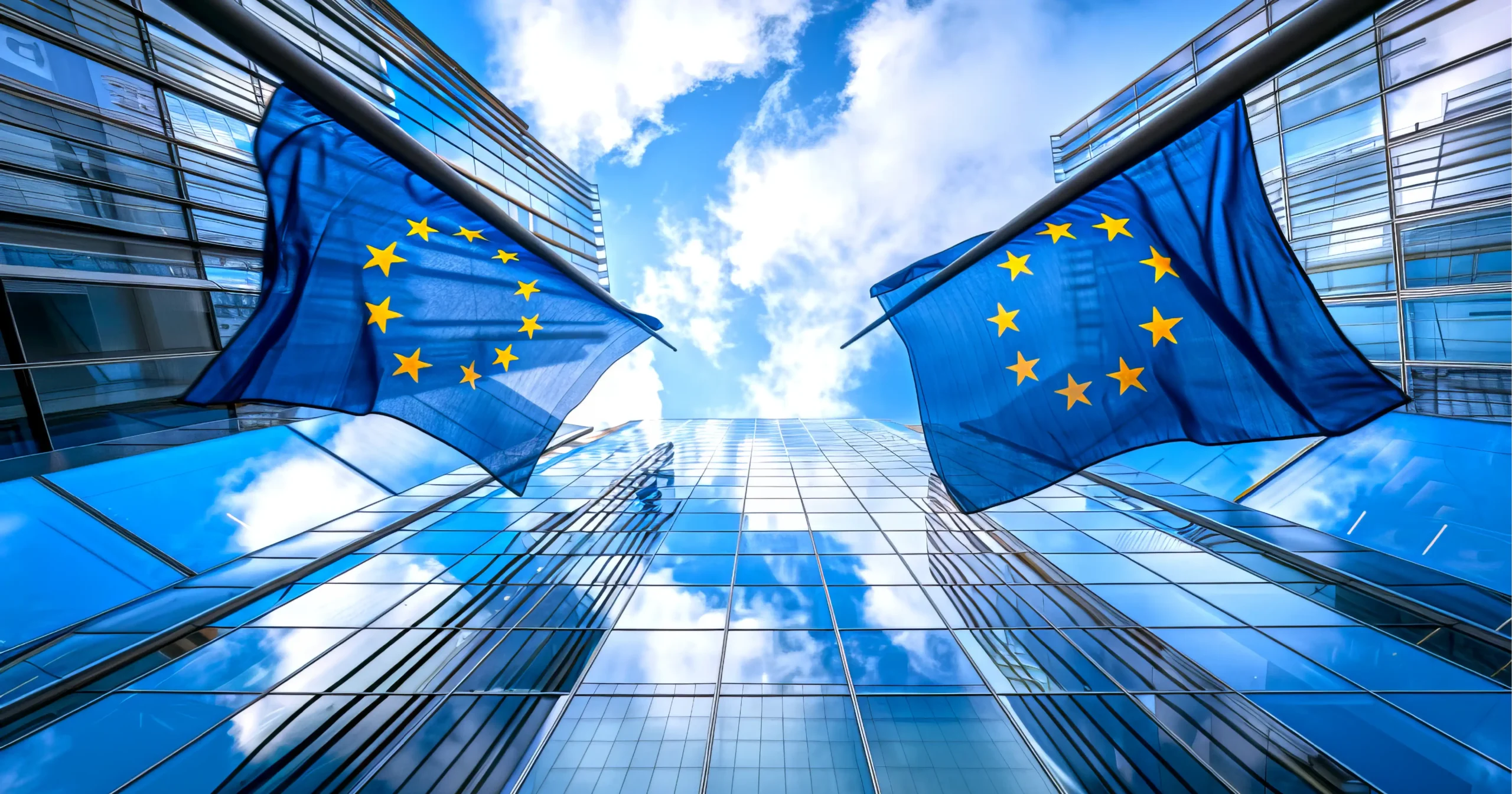 contact_TPE-Europeen contact TPE Europeen scaled