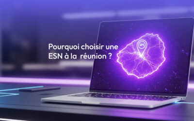 Choisir une ESN à La Réunion en 2025 : 3 Avantages Stratégiques pour votre PME
